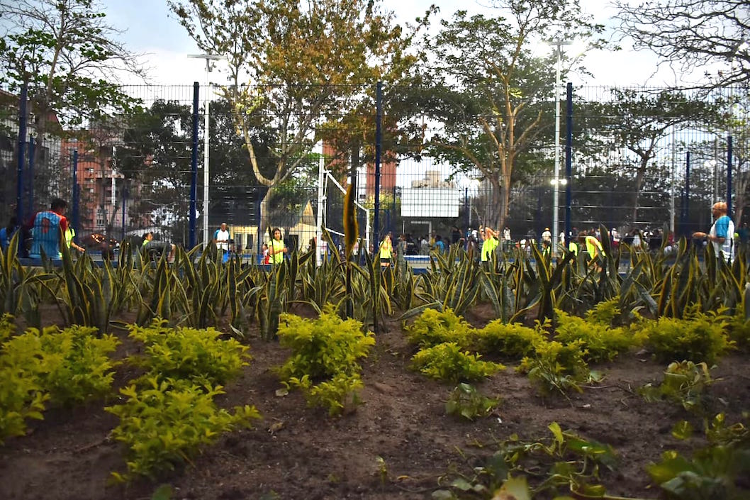 La arborización que embellece el entorno el Parque Venezuela.