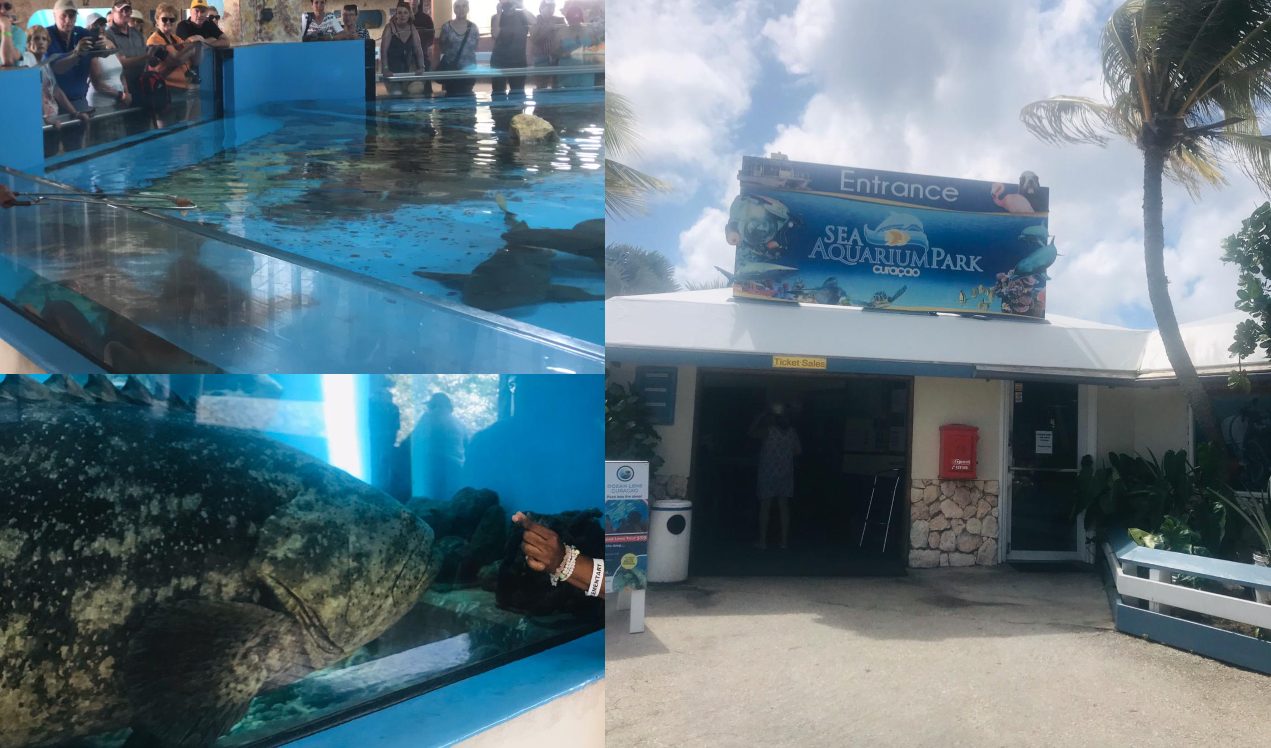 Visitar el Sea Aquarium.