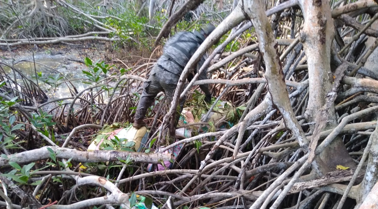 La droga estaba en costales dentro de los manglares.