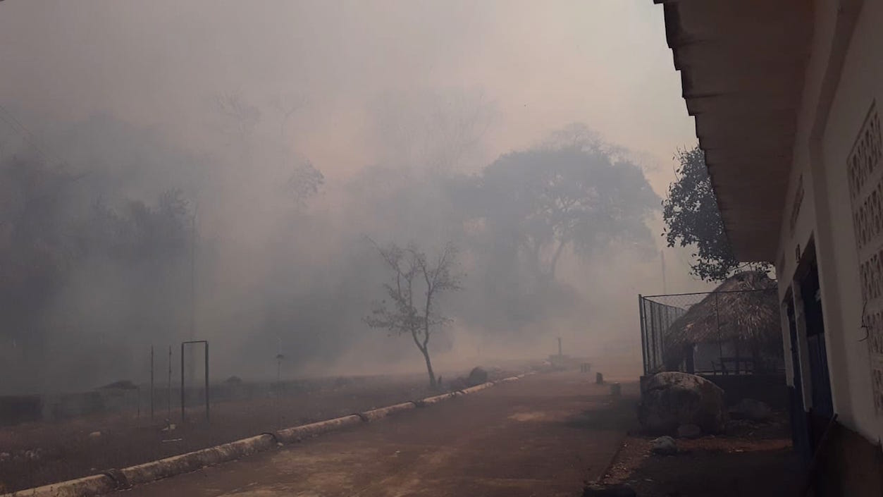 El incendio forestal en Maicao.