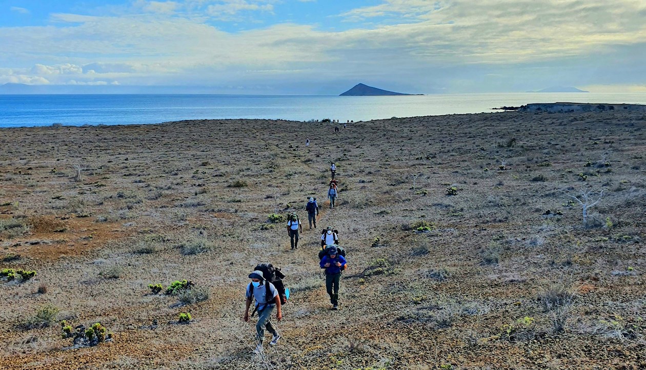 Las islas Galápagos, catalogadas en 1978 como Patrimonio Natural de la Humanidad por la Unesco por conformar un ecosistema terrestre y marino único en el mundo, están situadas a unos mil kilómetros de las costas continentales ecuatorianas.