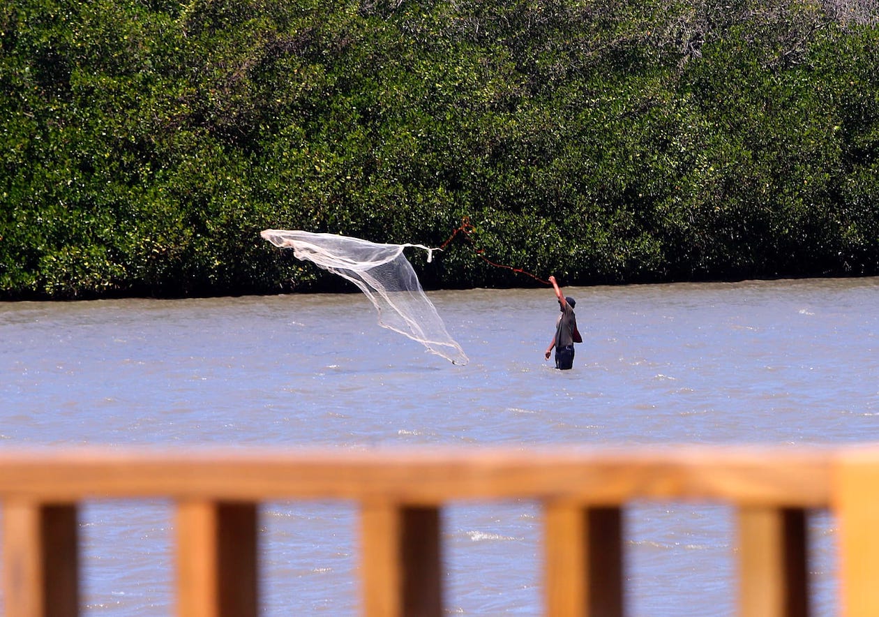 Reactivación de la pesca en la Ciénaga.