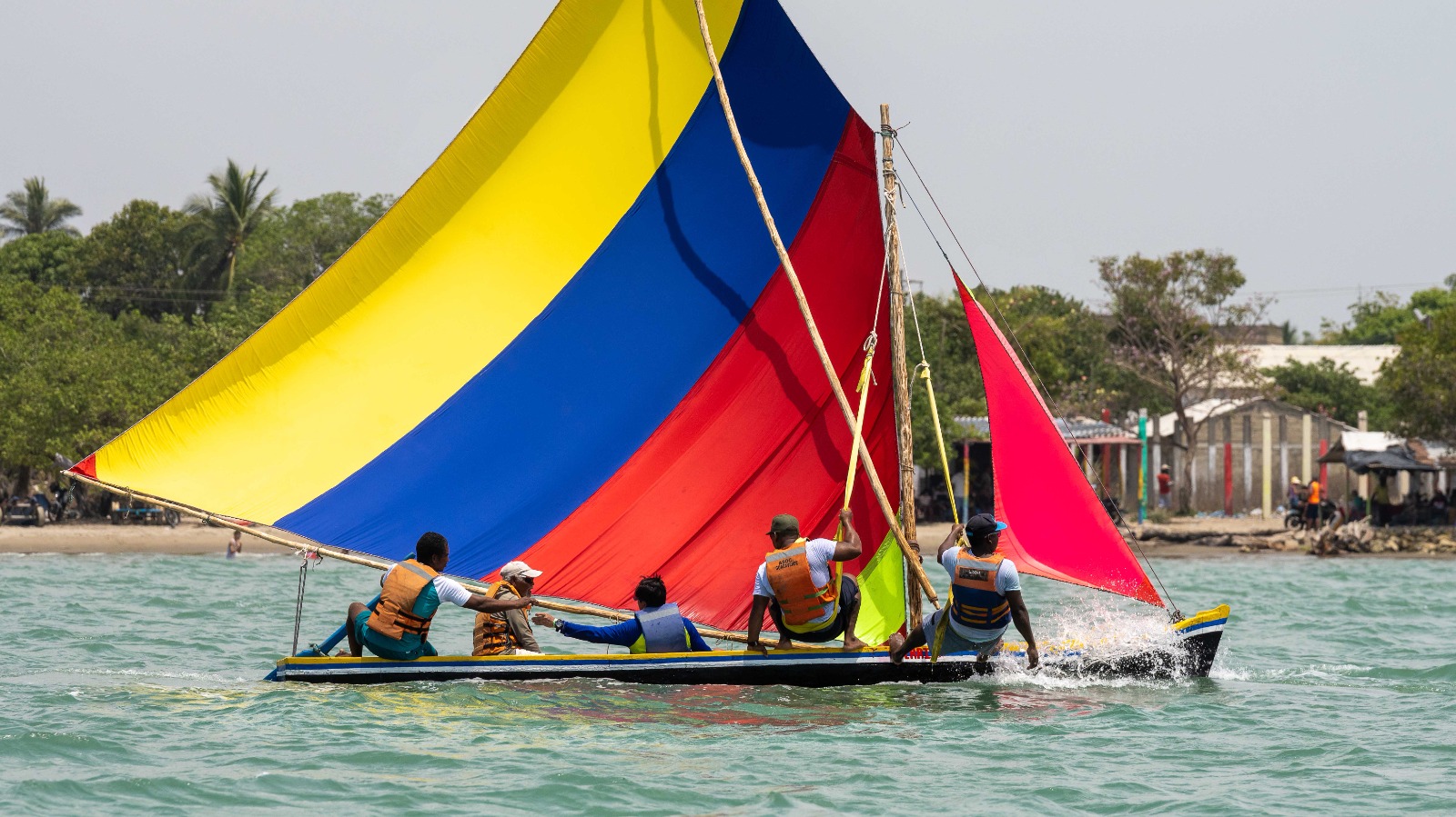 Exposición a gran formato “Mariposas marinas”. 