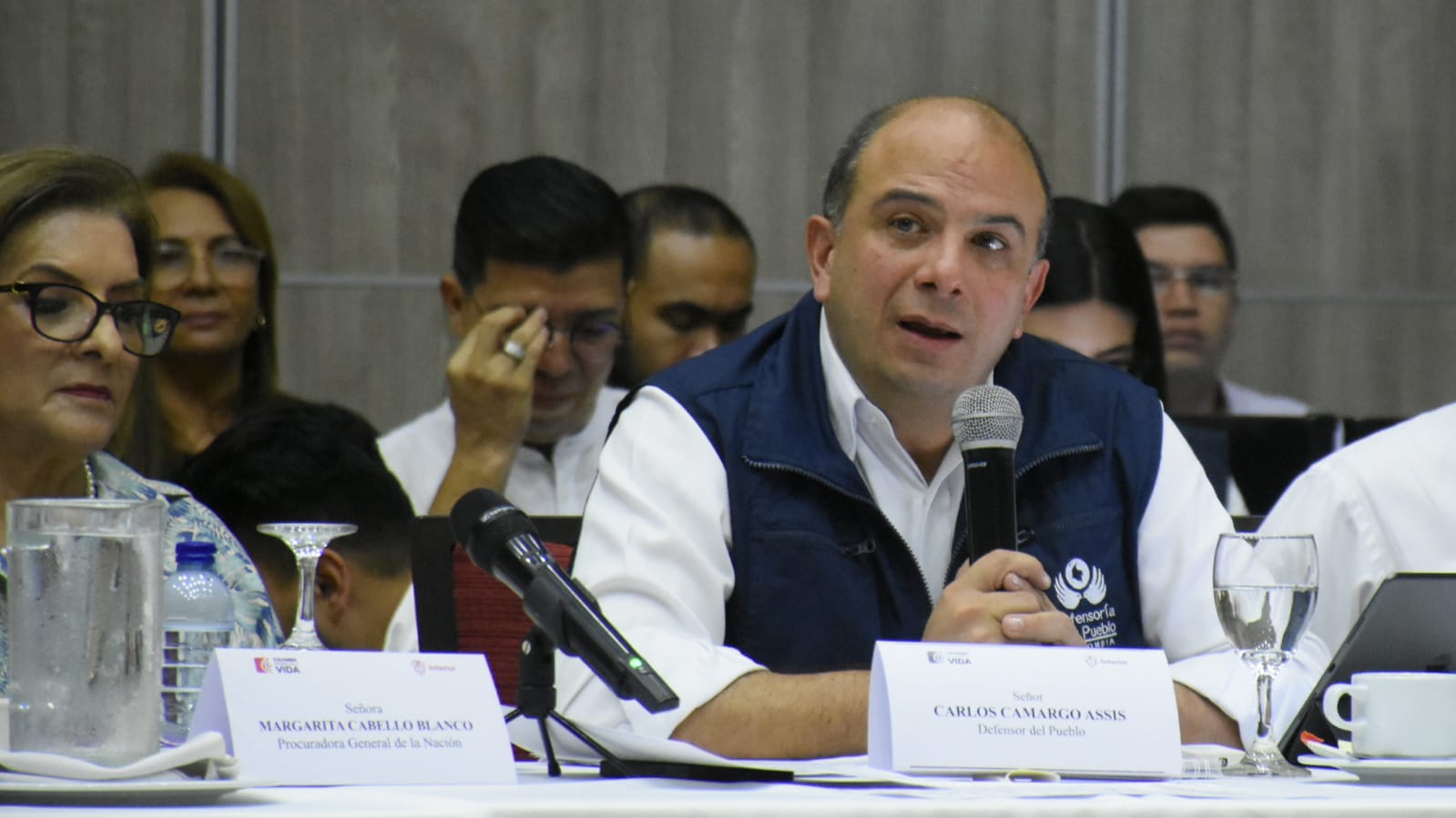 Carlos Camargo, Defensor del Pueblo
