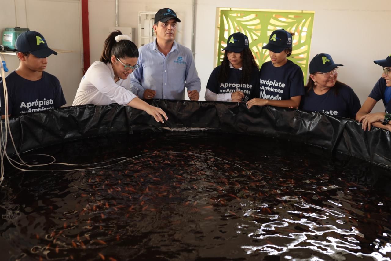 Estudiantes de las ecoescuelas.