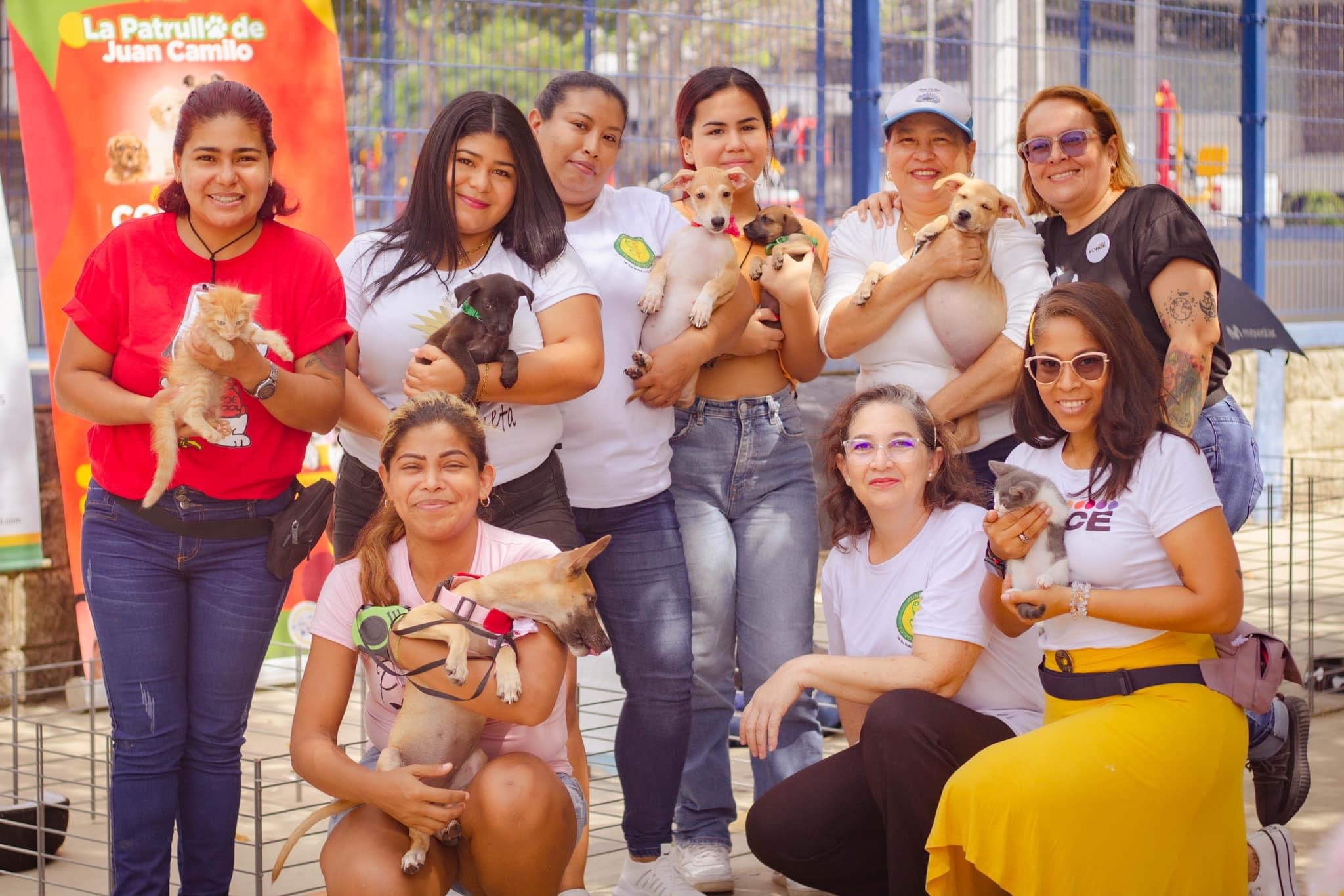 La Feria Force brinda espacio para la adopción de animales. 