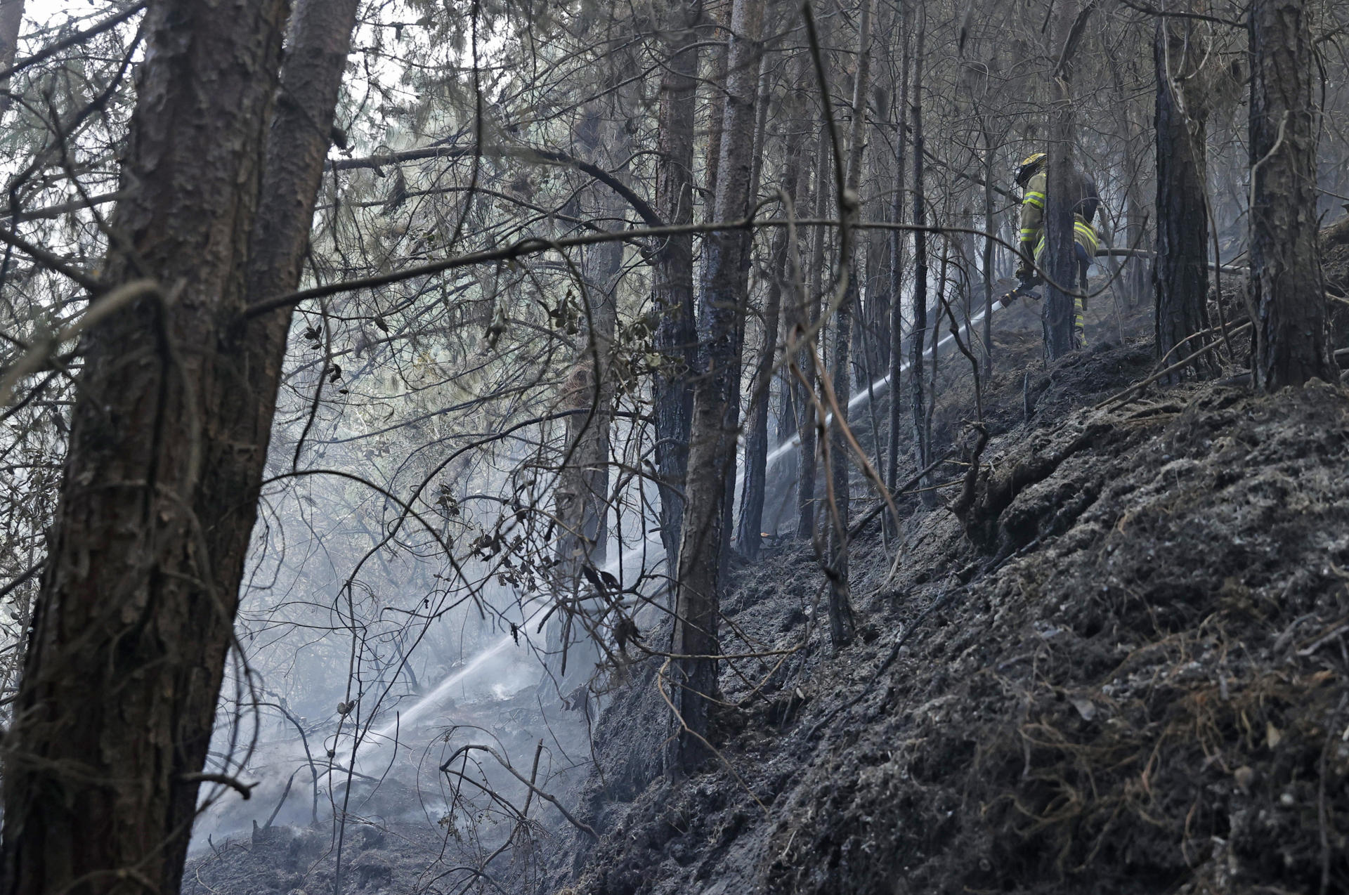 Bomberos trabajan en la extinción de un incendio 