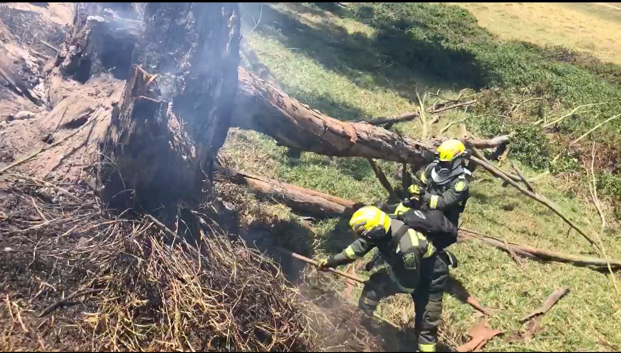 Incendio forestal atendido por la Policía Nacional. 