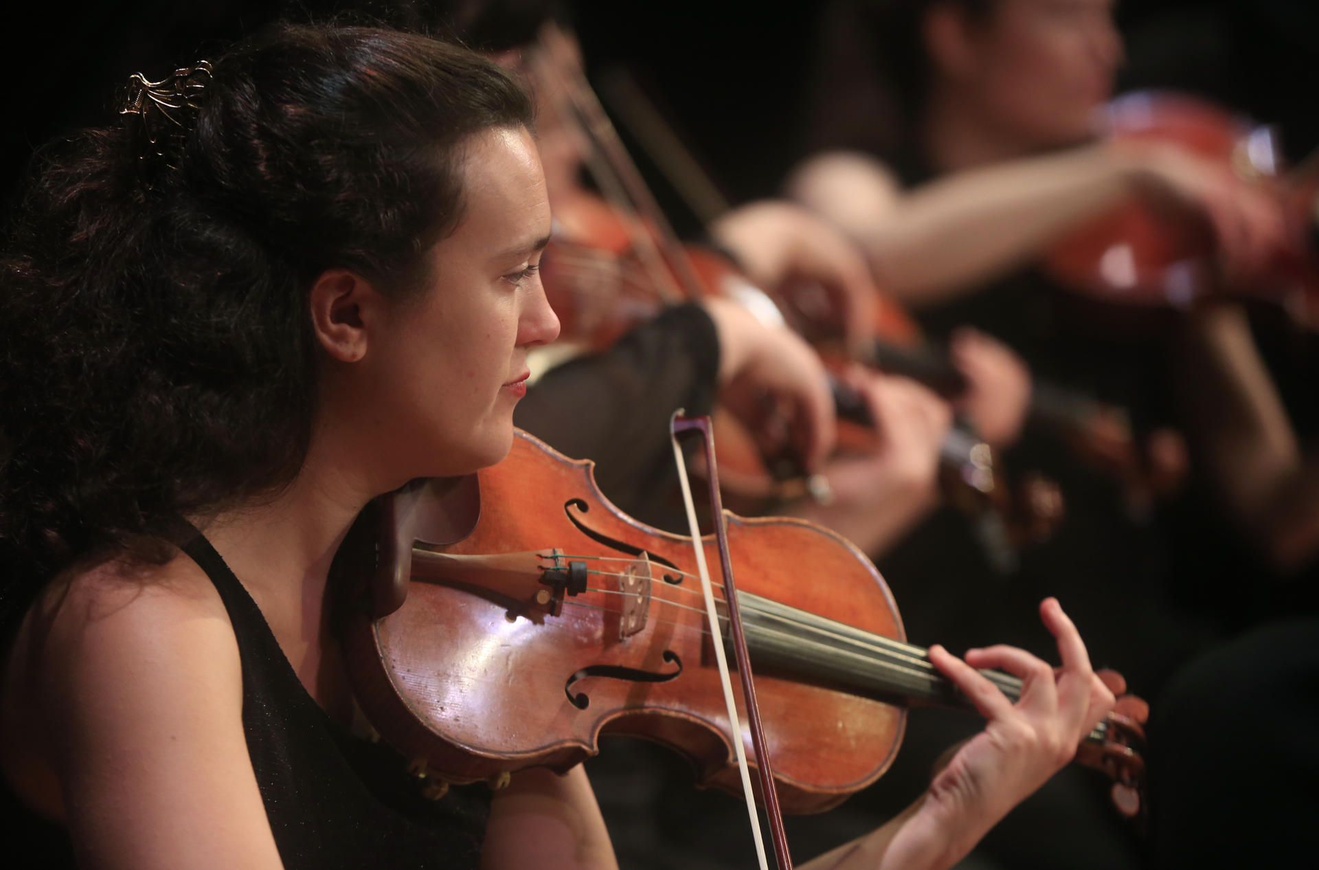 Orquesta ensamble Allegria.