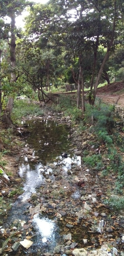 Ecoparque Jardín Botánico Armando Dugand Gnecco, uno de los pocos pulmones de la ciudad y un arroyo natural además de un ojo de agua, fuente natural de la cual brota el agua subterránea. 