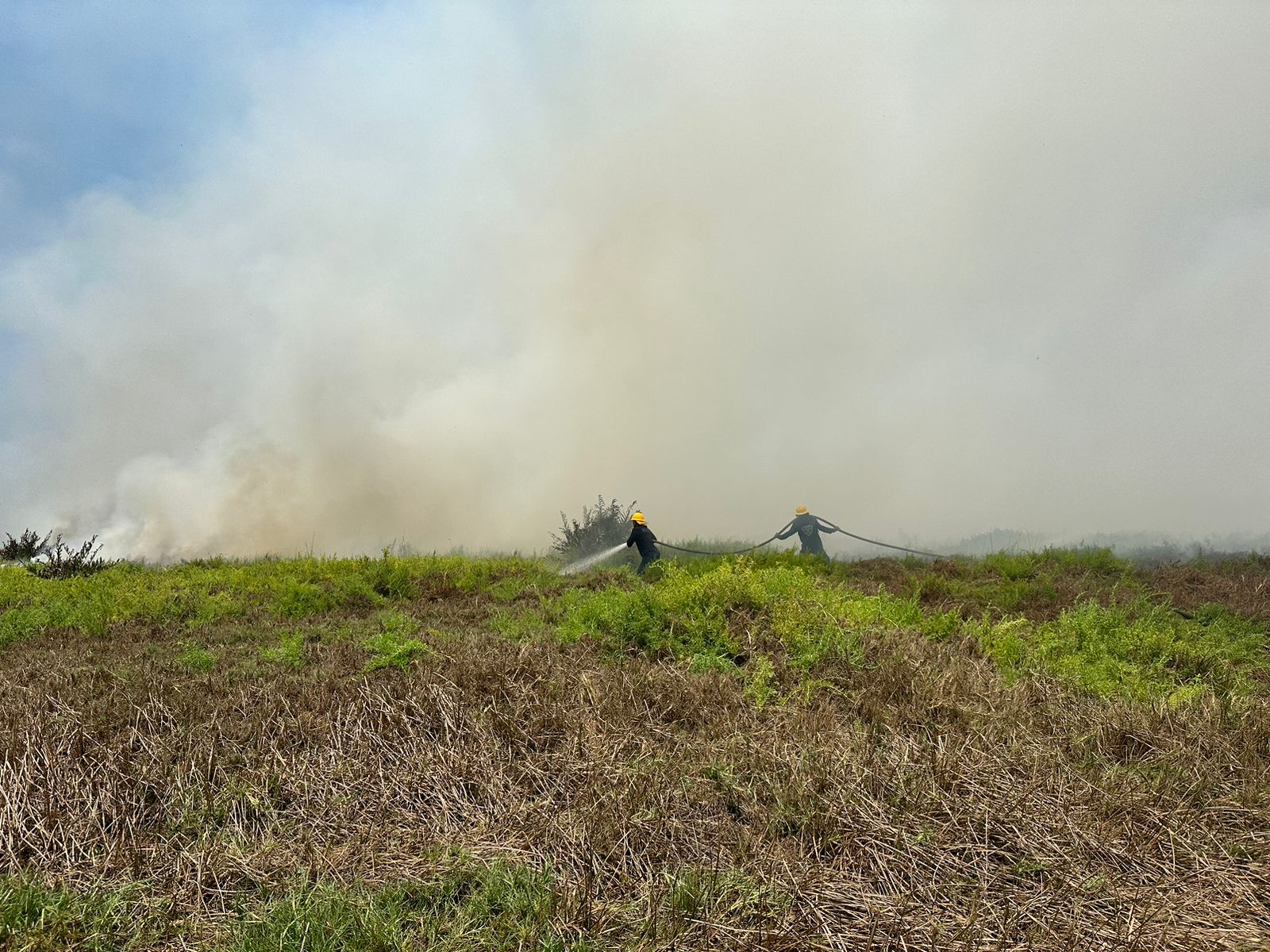 Bomberos de Sitionuevo atienden la conflagración.