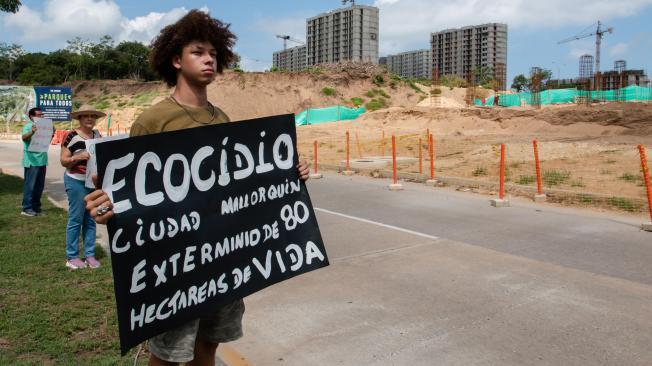 El proyecto urbanístico ha sido considerado como un 'ecocidio'.