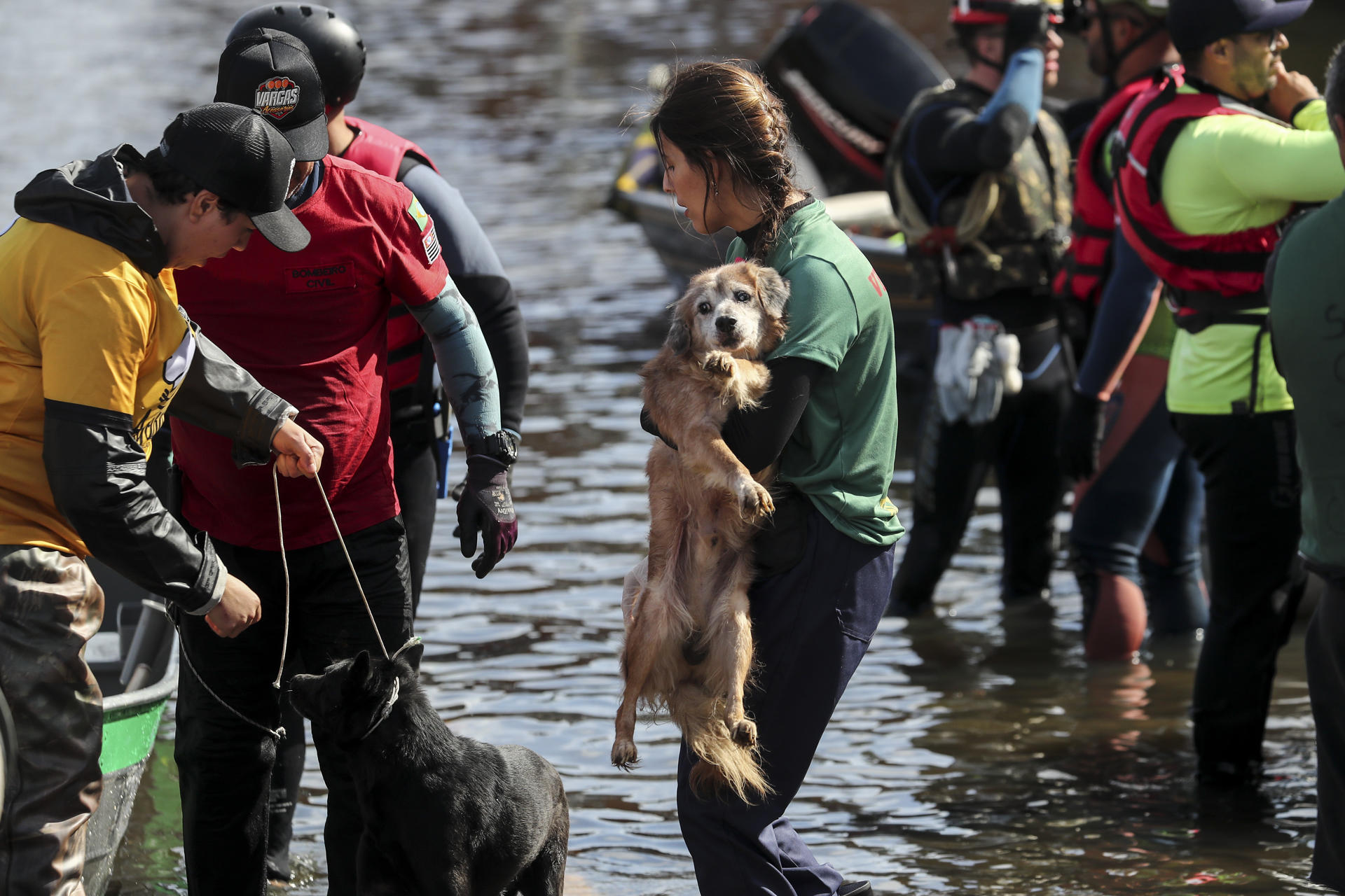 Voluntarios rescatan a un perro en una inundación en el río Gravataí, este martes en el barrio de Matias Velho, en Canoas
