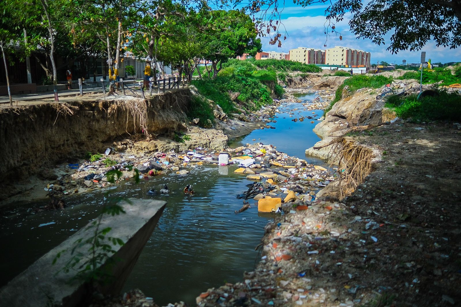 Así quedó el arroyo 'El Platanal'