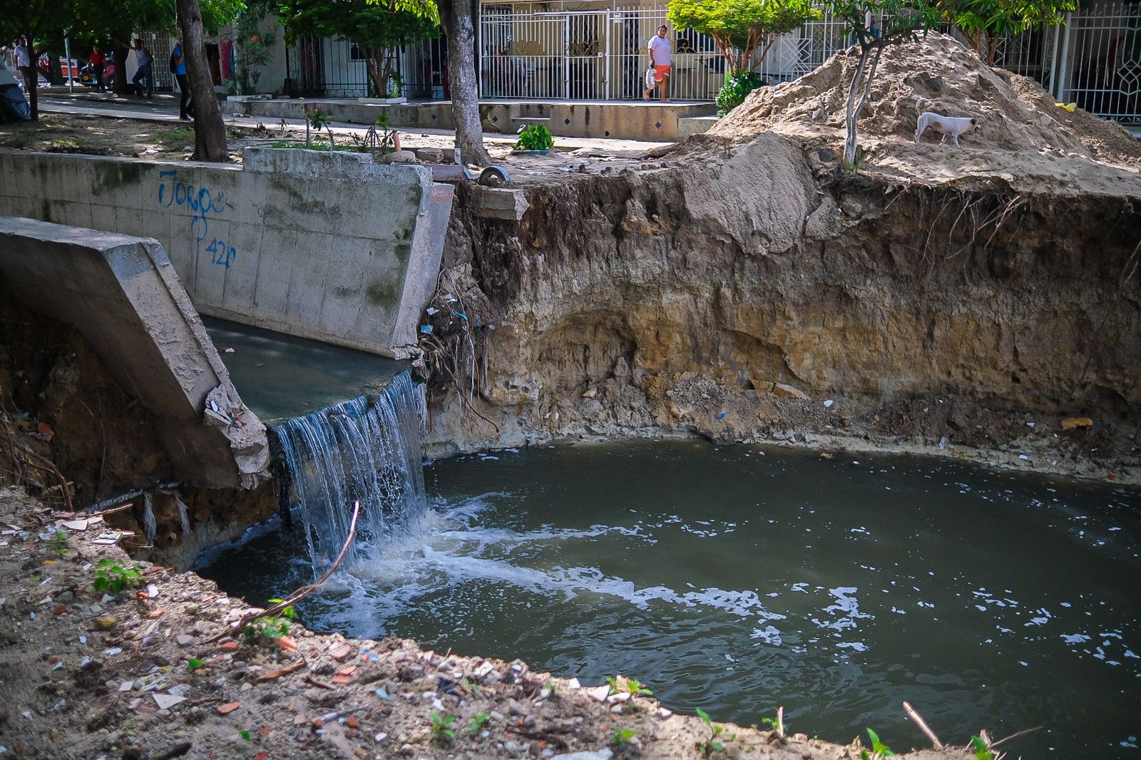 Así quedó el arroyo 'El Platanal'