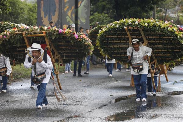 Más de 500 silleteros participan del tradicional desfile.