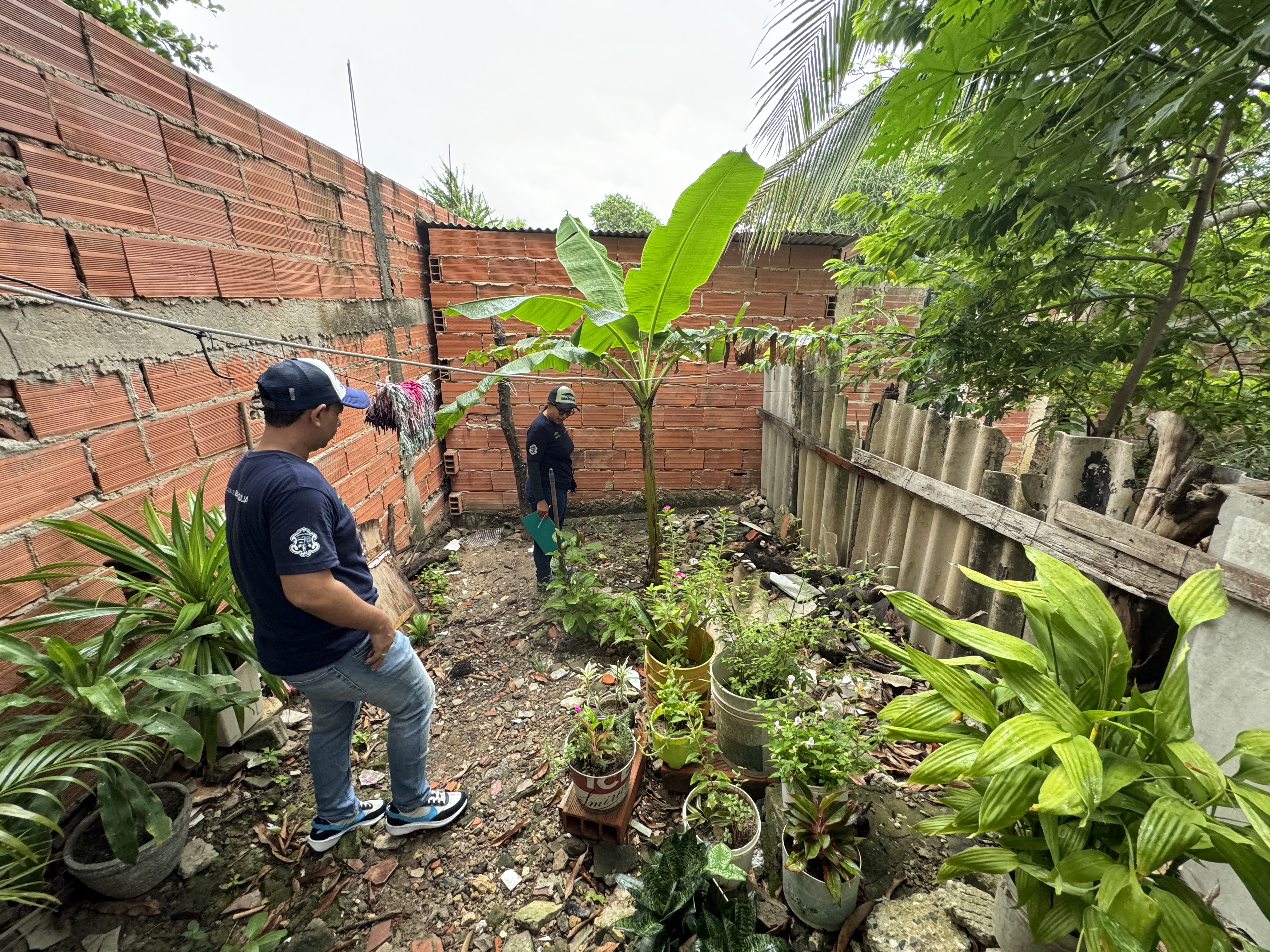 El programa comenzará en cuatro barrios.