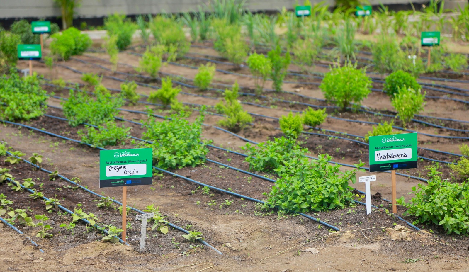 Parque productivo Las Gardenias