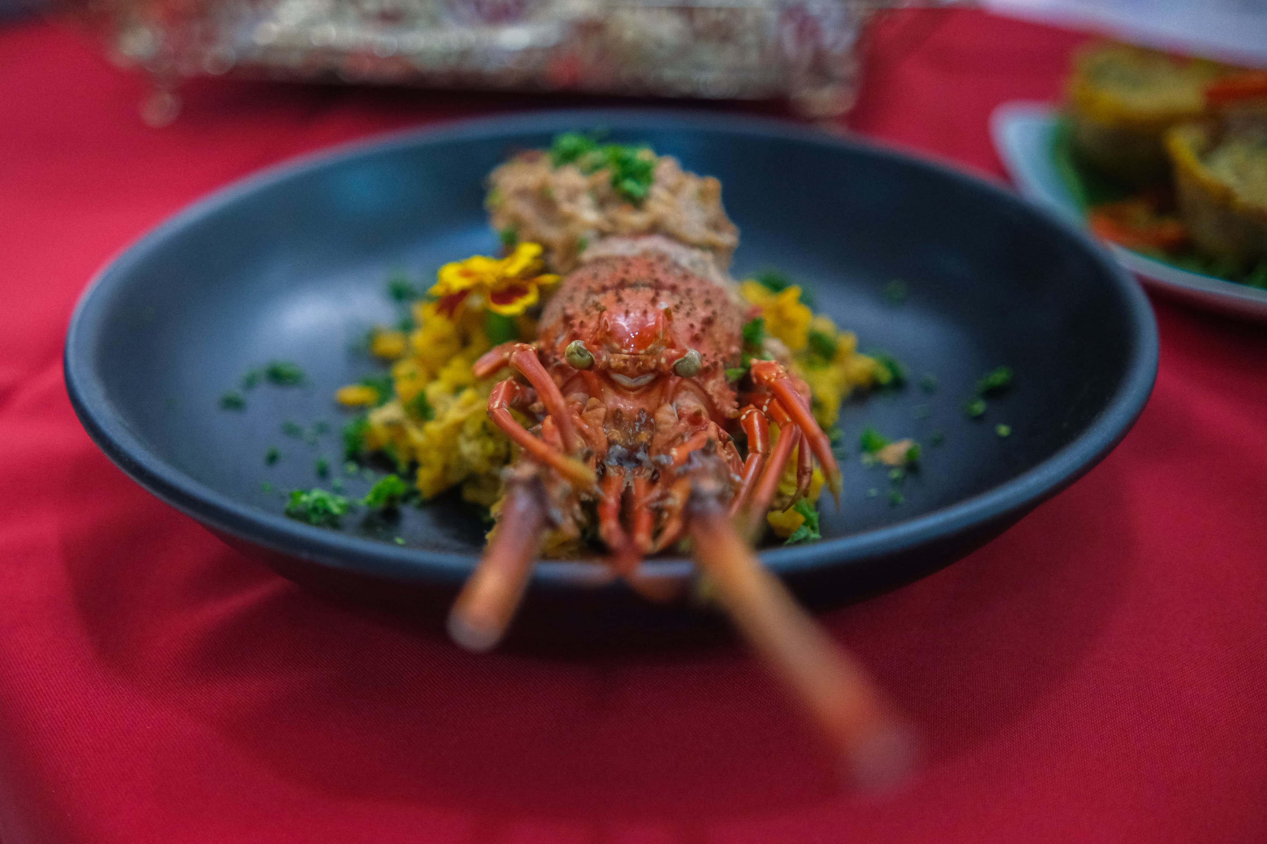 Una variedad de sabores durante el festival.