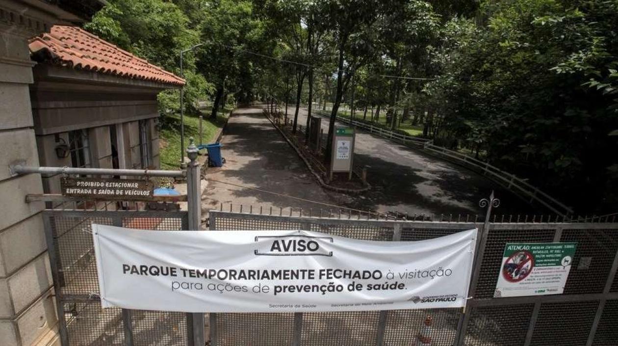 En Sao Paulo van 26 muertes por el virus de fiebre amarilla.