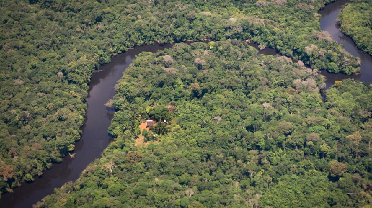 Amazonía colombiana se enfrenta a numerosos factores externos que amenazan su conservación.