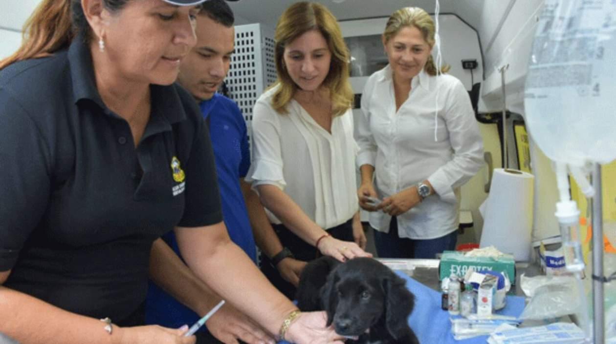 La primera dama del Distrito Katia Nule y la Secretaria de Salud, Alma Solano, durante la jornada de esterilización canina.