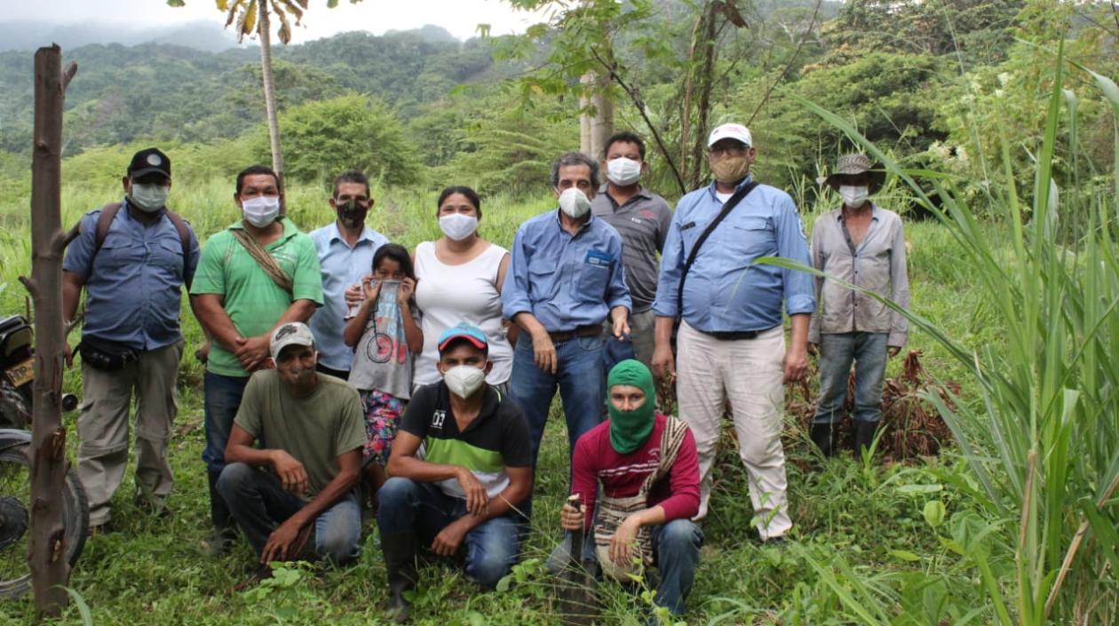 Grupo de ex aserradores y los guardaparques que sembrarán árboles en la Sierra Nevada de Santa Marta.