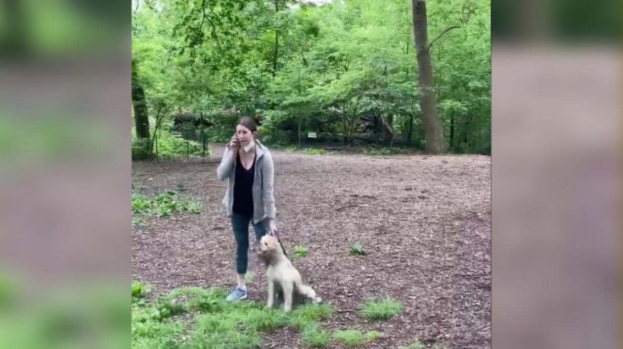 La mujer paseaba el perro sin correa por Central Park.