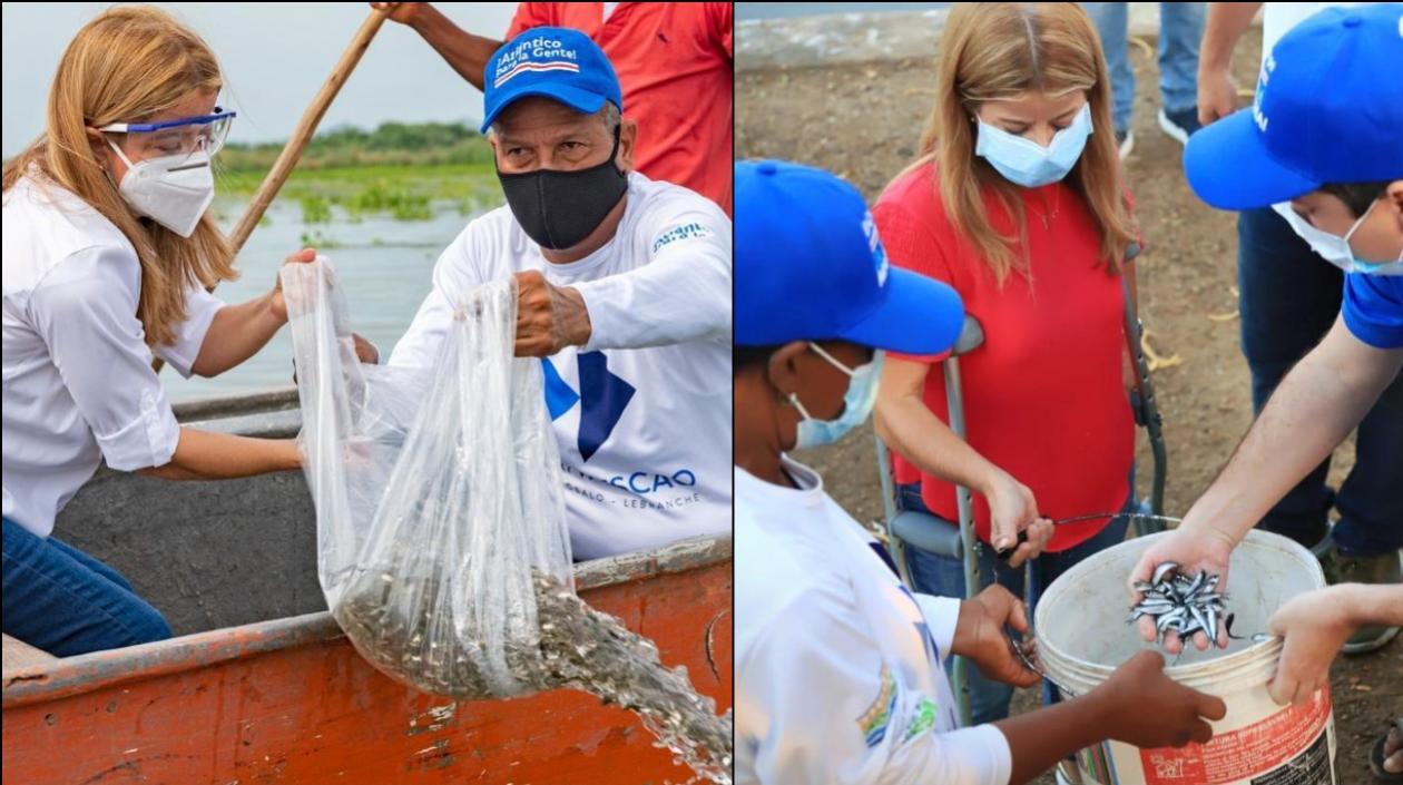 El proyecto beneficiará a tres mil pescadores de los municipios de Repelón, Sabanalarga, Manatí, Ponedera, Malambo y Luruaco.  