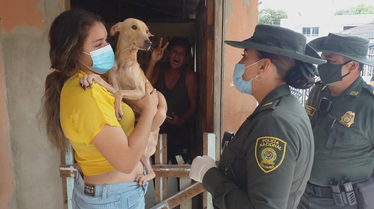 Rescate de perros en Cartagena.