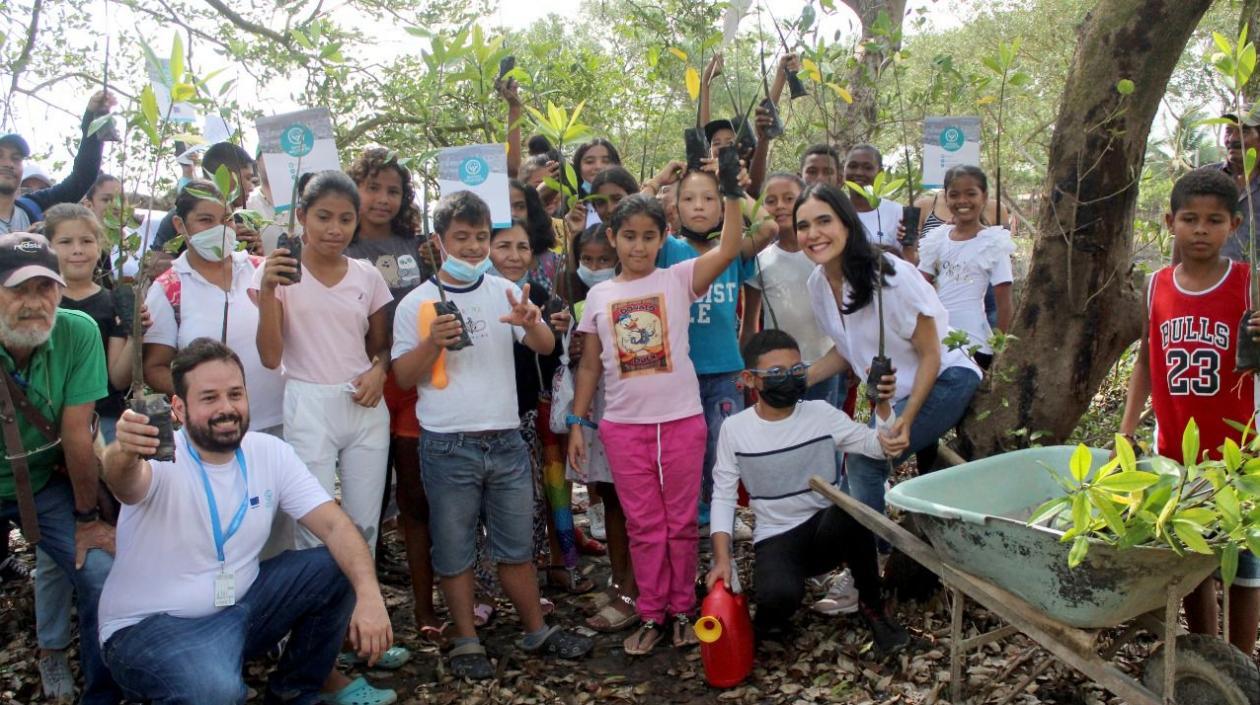 Participantes de la Gran Sembratón para la integración de mangle en la ciénaga de Mallorquín.