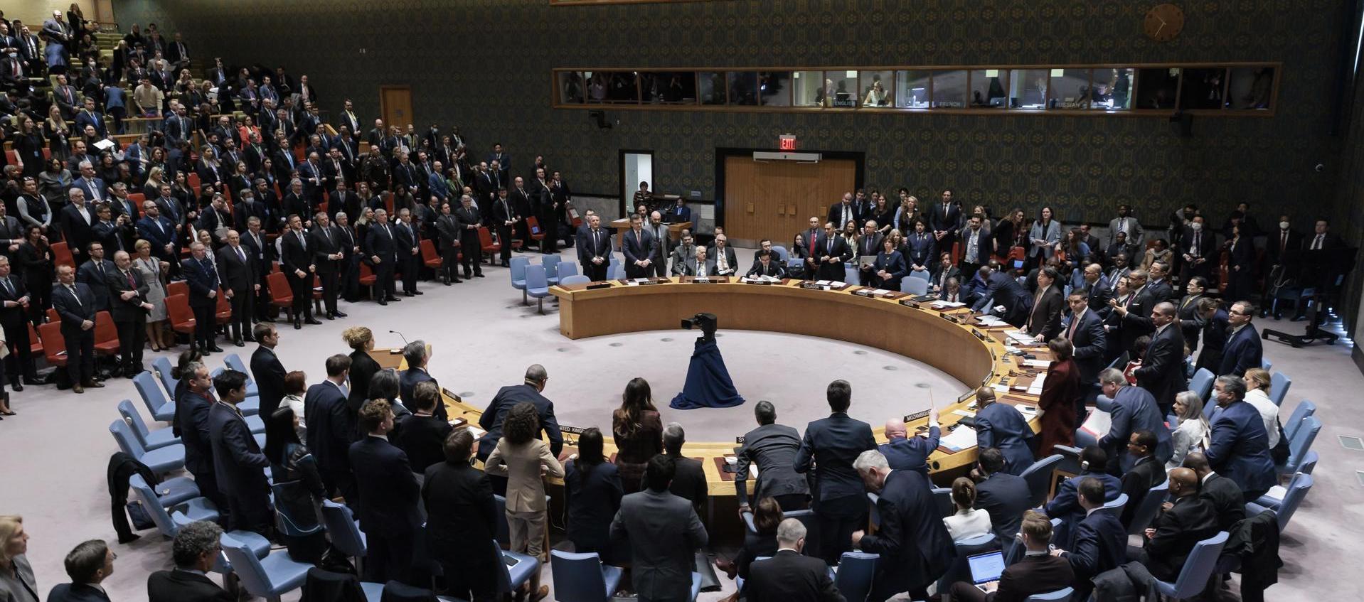 Consejo de Seguridad de la ONU. 