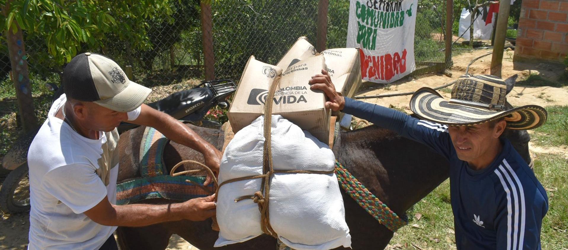 Dos personas transportando cajas con ayuda alimentaria que hacen parte de los kits entregados a los habitantes de la vereda Rancho Quemado, a cuatro horas de Segovia 