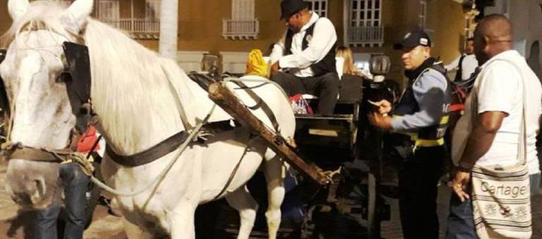 Operativos del DATT en Cartagena para vigilar caballos cocheros