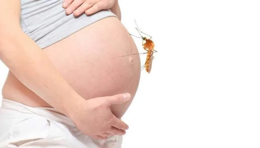 El Zika puede causar infecciones severas y malformaciones en el recién nacido, como microcefalia.