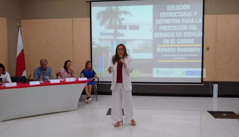 La Ministra de Minas y Energía, María Fernanda Suárez