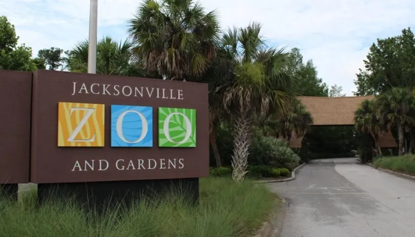 Zoológico de Jacksonville.