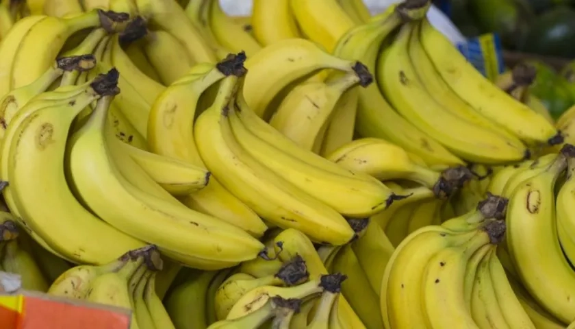 El gremio bananero en muchos países es generador de empleo.