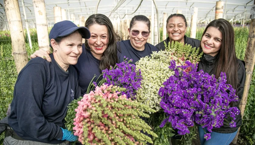 El 60 % de los empleos directos de los cultivos de flores es ocupados por mujeres.