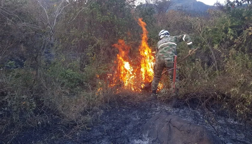 Incendio forestal atendido por el Ejército. 