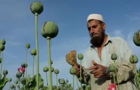 La producción de opio en Afganistán creció un 87 % durante 2017.