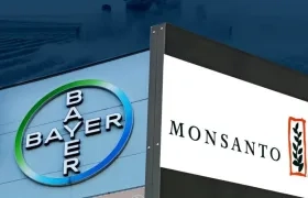 Bayer tiene la posibilidad, a partir de hoy, de "participar de forma activa" en los procesos abiertos contra Monsanto.