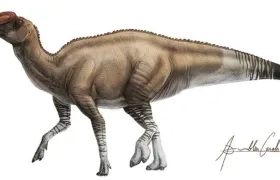 El nuevo género y especie Aquilarhinus palimentus fue un dinosaurio 'pico de pato' que vivió hace unos 80 millones de años.