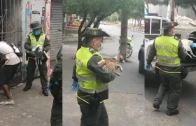 Policía rescatando tres mascotas en el barrio Universal de Barranquilla.