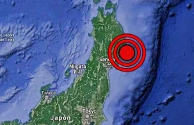 El sismo tuvo su epicentro en aguas del Pacífico frente a las prefecturas de Iwate y Miyagi.