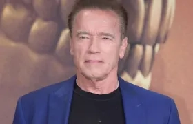 Arnold Schwarzenegger, actor.