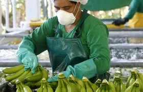 Los ministros de países productores en Latinoamérica acordaron invocar el concepto de "responsabilidad compartida".