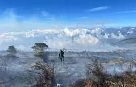 Devastación tras los incendios forestales en el país. 