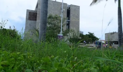 Maleza invade los jardines del Museo del Caribe.