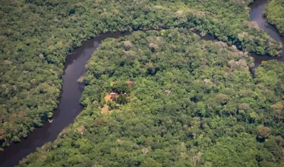 Amazonía colombiana se enfrenta a numerosos factores externos que amenazan su conservación.